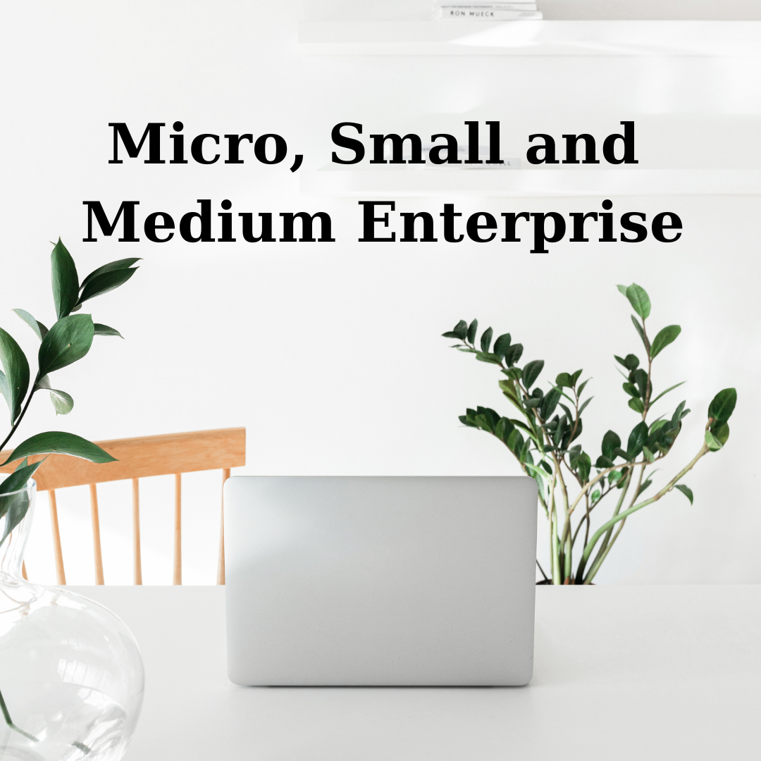 Payments to Micro and Small Enterprises: AY 2024-2025